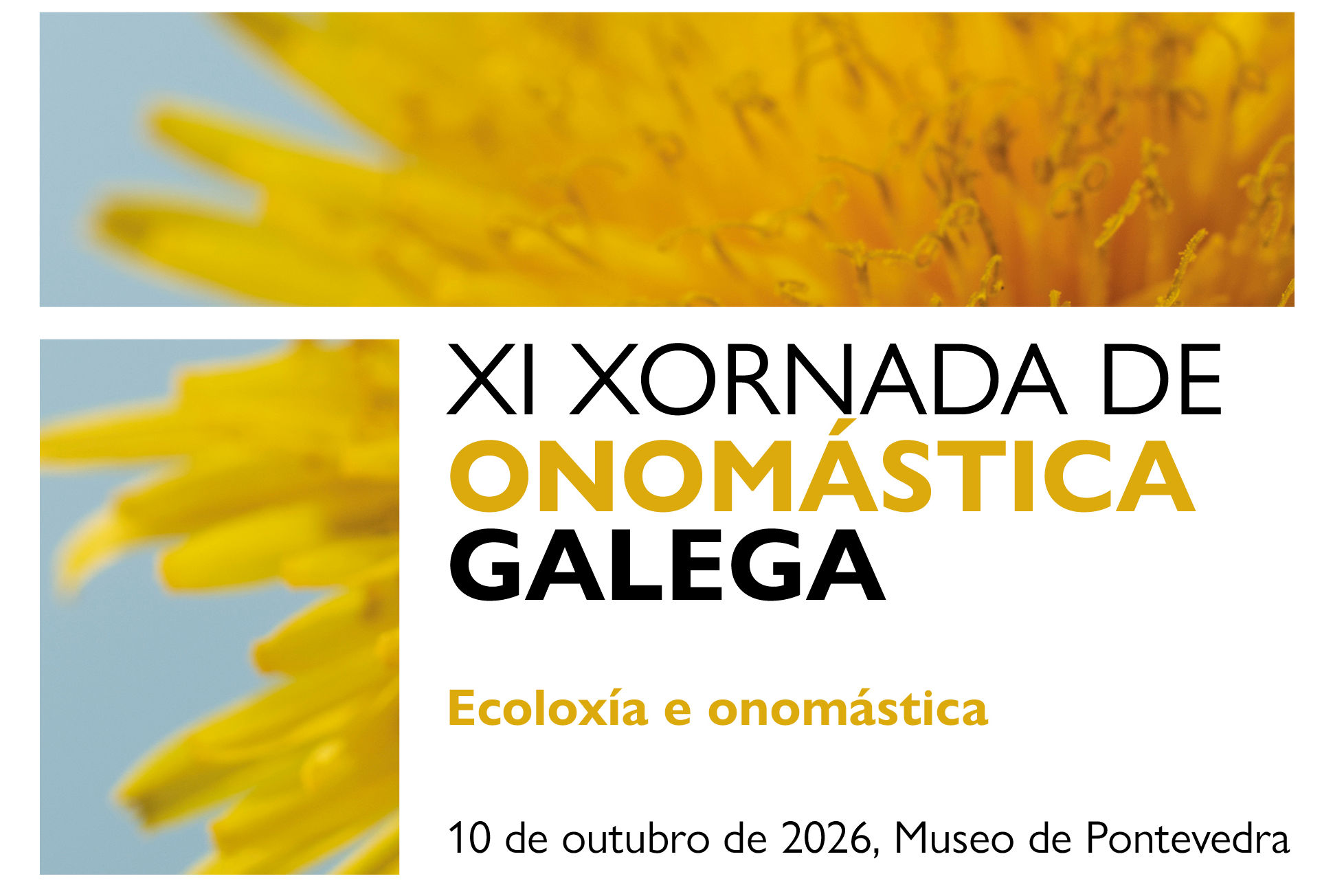 XI Jornada de Onomástica Gallega: Ecoloxía e onomástica
